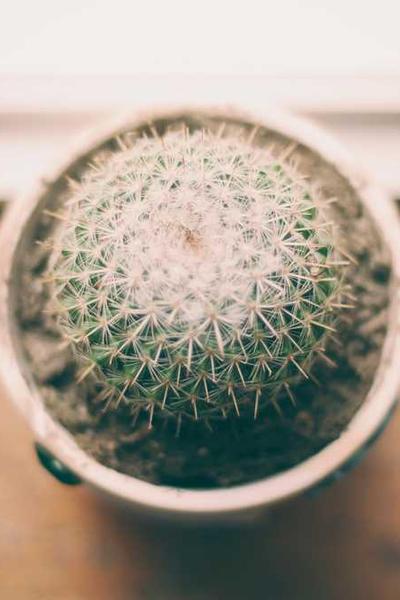 福娃萌宝，见者来财